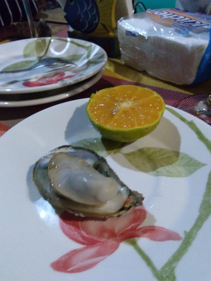 Casa Dos Acores B&B Florianópolis Kültér fotó